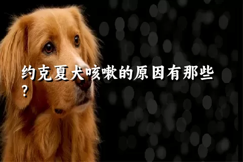 约克夏犬咳嗽的原因有那些？ 