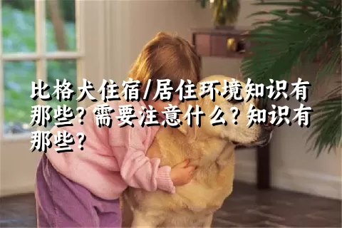 比格犬住宿/居住环境知识有那些？需要注意什么？知识有那些？