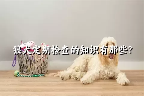 狼犬定期检查的知识有那些？