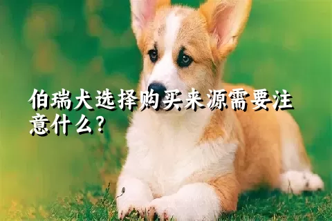 伯瑞犬选择购买来源需要注意什么？ 