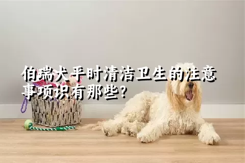 伯瑞犬平时清洁卫生的注意事项识有那些？ 