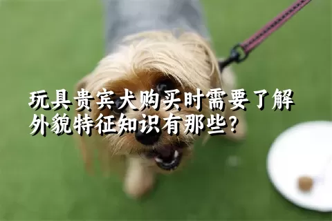 玩具贵宾犬购买时需要了解外貌特征知识有那些？  