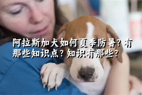 阿拉斯加犬如何夏季防暑？有那些知识点？知识有那些？