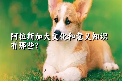 阿拉斯加犬文化和意义知识有那些？