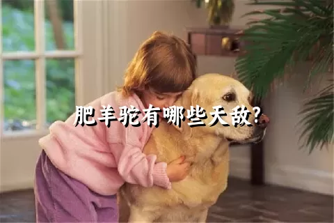 肥羊驼有哪些天敌?