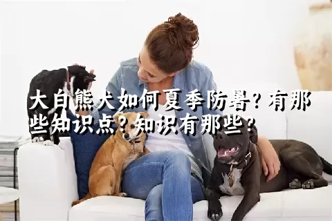 大白熊犬如何夏季防暑？有那些知识点？知识有那些？