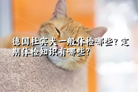 德国杜宾犬一般体检哪些？定期体检知识有哪些？