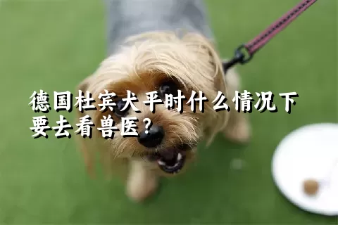 德国杜宾犬平时什么情况下要去看兽医？ 