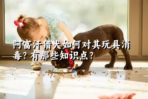 阿富汗猎犬如何对其玩具消毒？有那些知识点？