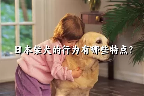 日本柴犬的行为有哪些特点？