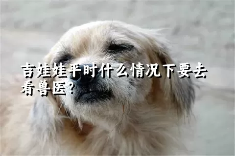 吉娃娃平时什么情况下要去看兽医？ 