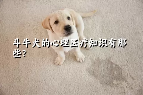 斗牛犬的心理医疗知识有那些？