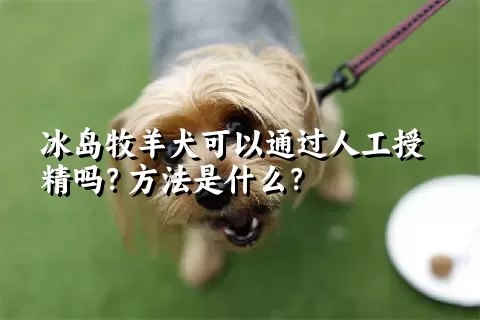 冰岛牧羊犬可以通过人工授精吗？方法是什么？