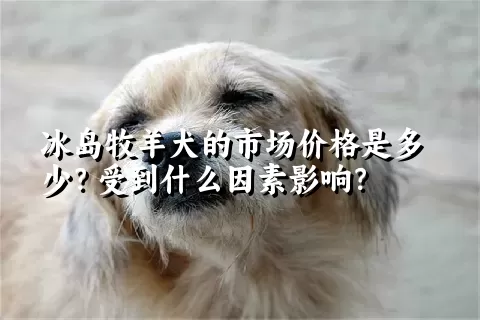 冰岛牧羊犬的市场价格是多少？受到什么因素影响？