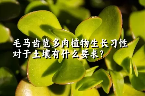 毛马齿览多肉植物生长习性对于土壤有什么要求？	