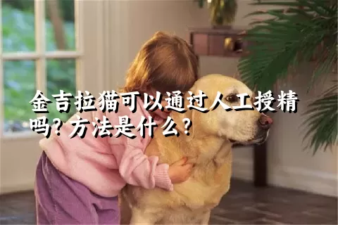 金吉拉猫可以通过人工授精吗？方法是什么？