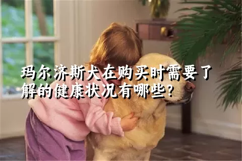 玛尔济斯犬在购买时需要了解的健康状况有哪些？