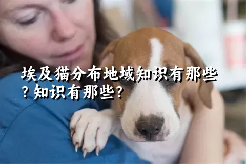 埃及猫分布地域知识有那些？知识有那些？