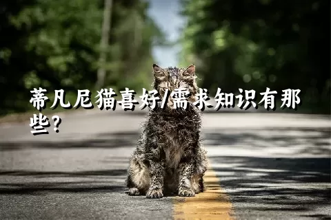 蒂凡尼猫喜好/需求知识有那些？