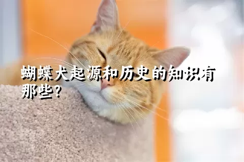 蝴蝶犬起源和历史的知识有那些？