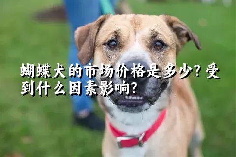 蝴蝶犬的市场价格是多少？受到什么因素影响？