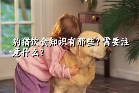 豹猫饮食知识有那些？需要注意什么？