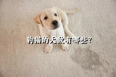 豹猫的天敌有哪些？