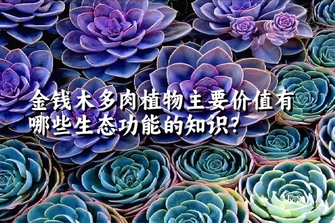 金钱木多肉植物主要价值有哪些生态功能的知识？