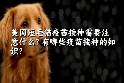 美国短毛猫疫苗接种需要注意什么？有哪些疫苗接种的知识？