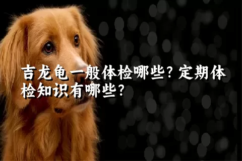 吉龙龟一般体检哪些？定期体检知识有哪些？