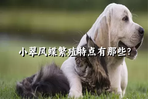 小翠凤蝶繁殖特点有那些？