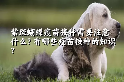 紫斑蝴蝶疫苗接种需要注意什么？有哪些疫苗接种的知识？