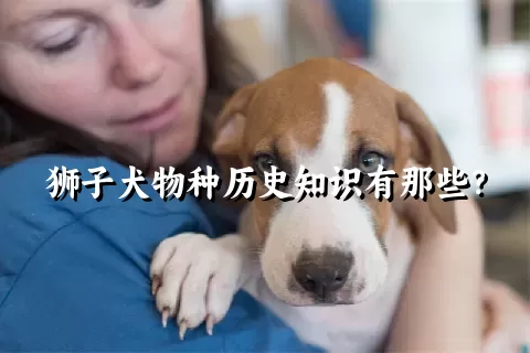 狮子犬物种历史知识有那些？