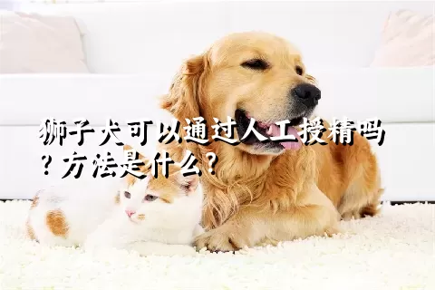 狮子犬可以通过人工授精吗？方法是什么？