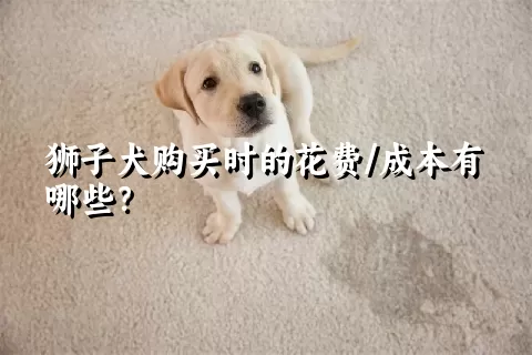 狮子犬购买时的花费/成本有哪些？