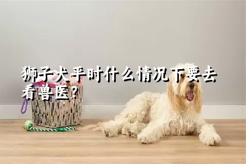 狮子犬平时什么情况下要去看兽医？ 