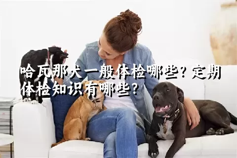 哈瓦那犬一般体检哪些？定期体检知识有哪些？