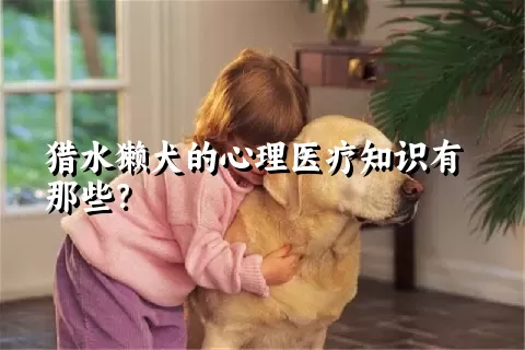 猎水獭犬的心理医疗知识有那些？