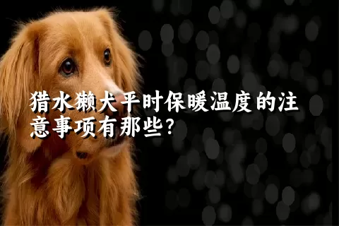 猎水獭犬平时保暖温度的注意事项有那些？ 