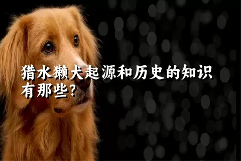 猎水獭犬起源和历史的知识有那些？