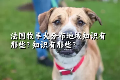 法国牧羊犬分布地域知识有那些？知识有那些？