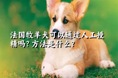 法国牧羊犬可以通过人工授精吗？方法是什么？