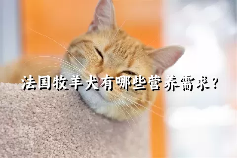 法国牧羊犬有哪些营养需求？