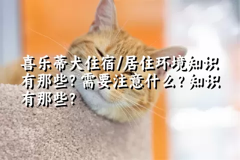 喜乐蒂犬住宿/居住环境知识有那些？需要注意什么？知识有那些？