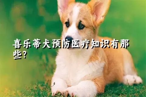 喜乐蒂犬预防医疗知识有那些？