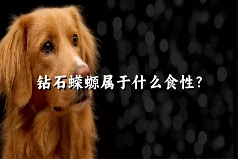 钻石蝾螈属于什么食性？