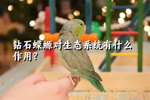 钻石蝾螈对生态系统有什么作用？