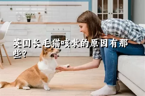 英国长毛猫咳嗽的原因有那些？ 