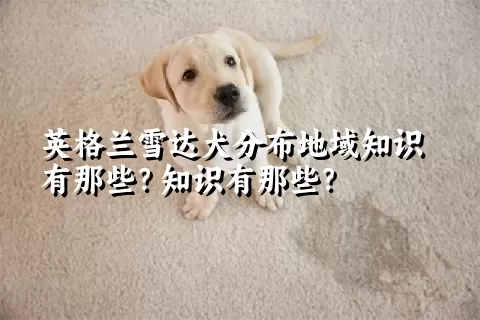 英格兰雪达犬分布地域知识有那些？知识有那些？