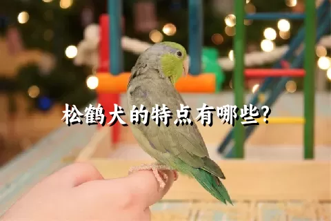 松鹤犬的特点有哪些?